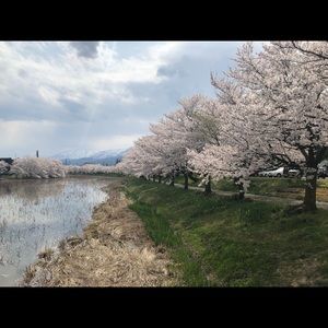 Meet your Posher, Huiling